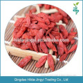 Dried fruit goji berries/goji/organic goji berries